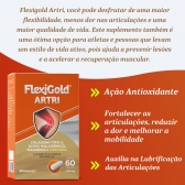 Flexigold Raul Gil Colágeno Tipo 2 Curcuma Magnesio Kit 240 Cápsulas - Sem sabor