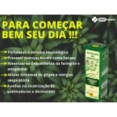 Extrato De Própolis Verde Puro 70% Apis Flora Kit 3 Unidades - Própolis Verde