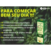 Extrato De Própolis Verde Puro 70% 30ml Apis Flora Imunidade - Própolis Verde