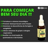Extrato De Própolis Verde Sem Álcool Propomax 30ml Kit C/3 Unidades - Extrato de Própolis
