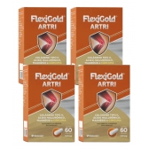 Flexigold Raul Gil Colágeno Tipo 2 Curcuma Magnesio Kit 240 Cápsulas - Sem sabor